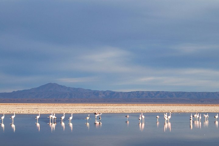 4-Days Discovery at San Pedro de Atacama