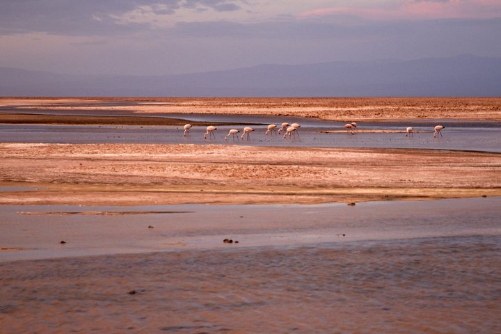 4-Days Discovery at San Pedro de Atacama