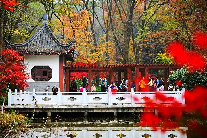 6-Hour Private Tour of Xiaoling Tomb,City Wall & Memorial Hall