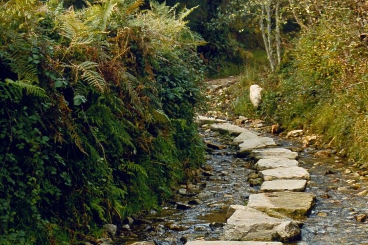 Camino De Santiago: Last 100 km walk from Sarria to Santiago de Compostela