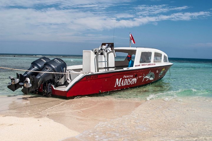 Snorkel and Island Experience at Laughing Bird Caye National Park