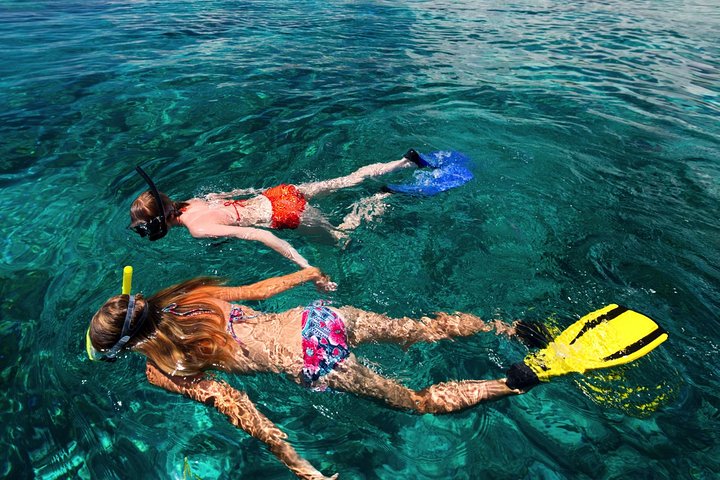 Snorkel the Perfect Tropical Isle Silk Caye with Turtles, Rays and Sharks