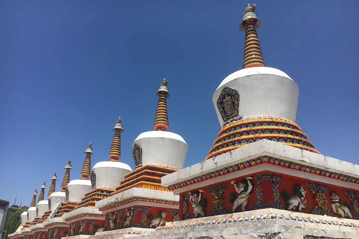 Private Day Tour to Kumbum Monastery, Dongguan Mosque in Xining from Lanzhou