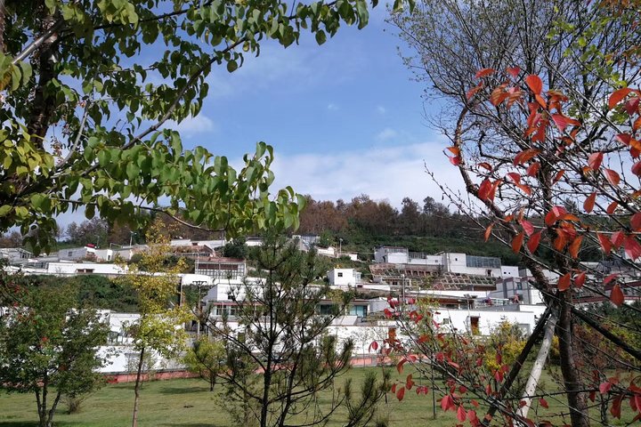 Private Full-day Xining City Tour with Lunch
