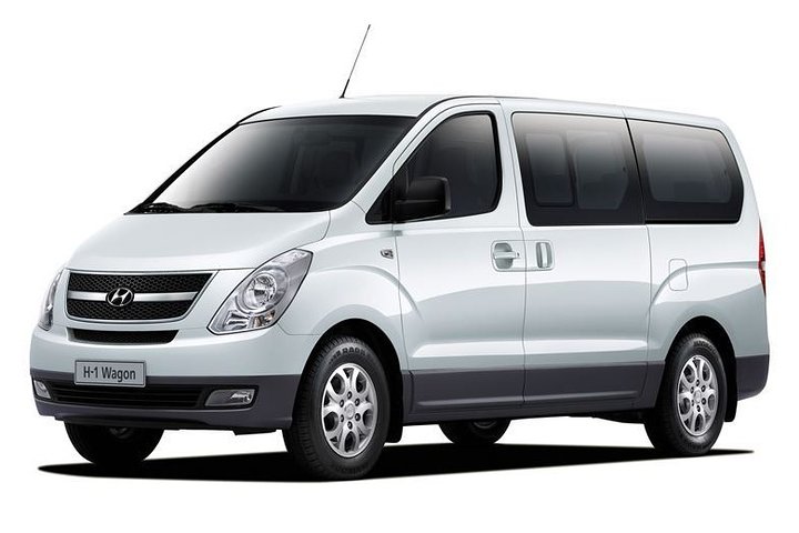 Valdivia Airport Private Transfer