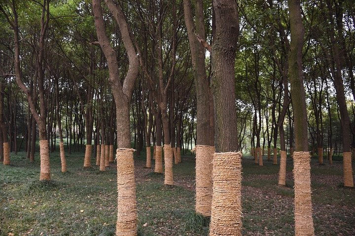 Romantic Tour in Hefei