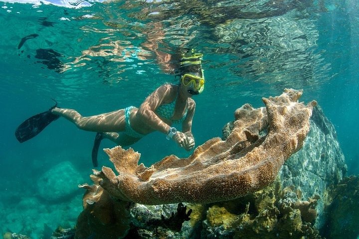 Discover The Baths of Virgin Gorda Full Day Adventure - Westin St. John