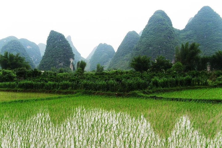 Private Day Tour to Yangshuo from Guilin: Yulong River, Li River Boat and More