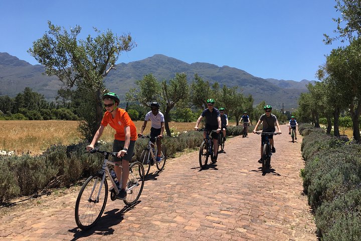 Franschhoek Cycle & Tasting Experience 4hr (Shared)