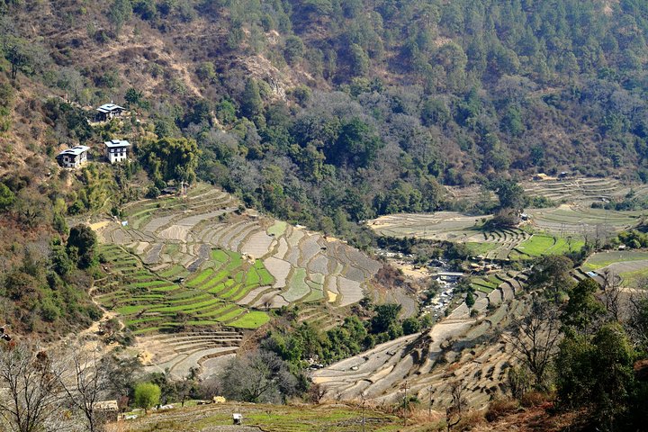 Romantic tour in Wangdue Phodrang