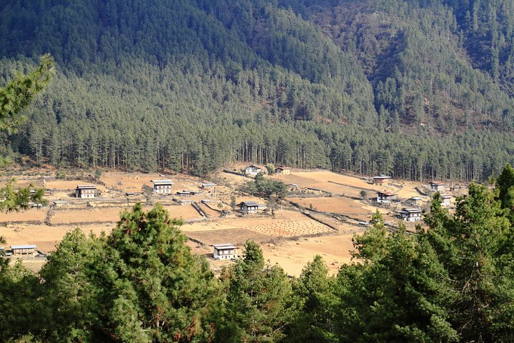 Romantic tour in Wangdue Phodrang