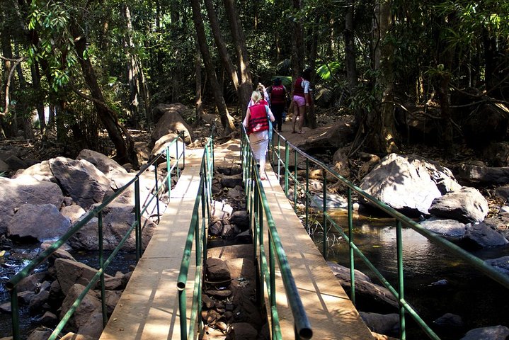 Full-Day Tour Old Goa Dudhsagar Falls and Spice Plantation