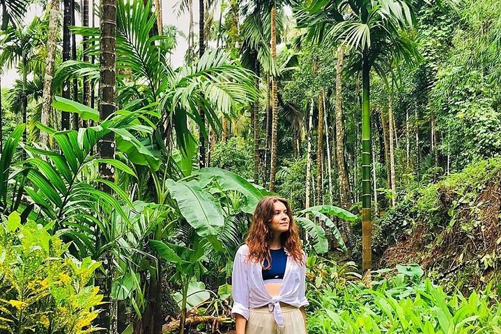 Full-Day Tour Old Goa Dudhsagar Falls and Spice Plantation