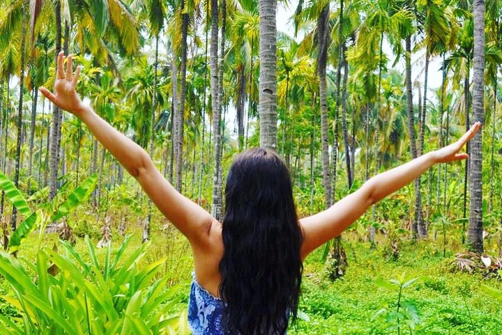 Full-Day Tour Old Goa Dudhsagar Falls and Spice Plantation