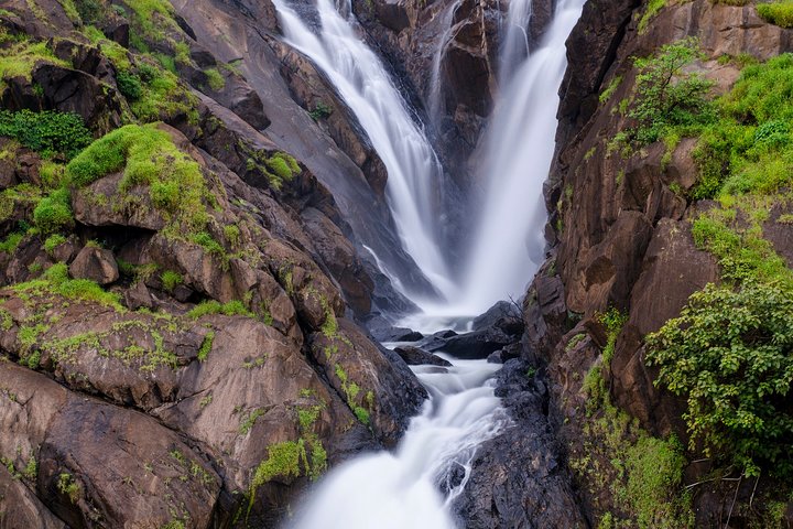 Full-Day Tour Old Goa Dudhsagar Falls and Spice Plantation