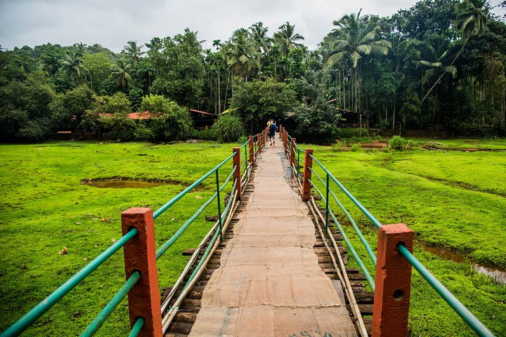 Full-Day Tour Old Goa Dudhsagar Falls and Spice Plantation