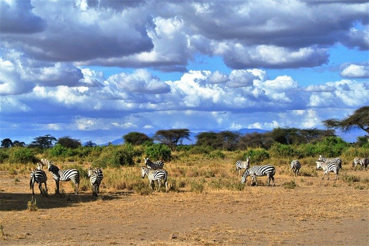 3 Days, 2 Nights Safari - Amboseli National Park and Tsavo West Adventure Safari