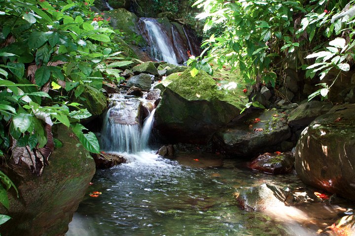 Full-Day Zipline and Waterfall Rappelling Adventure Near San Juan