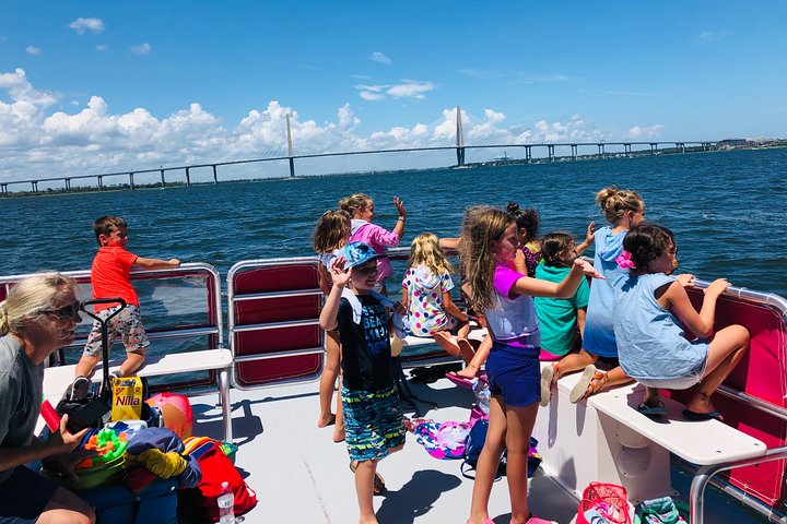 Charleston Water Taxi Cruise with Dolphin Sighting