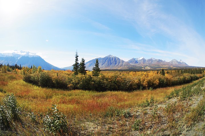Arctic Day: Kluane National Park Tour | full day