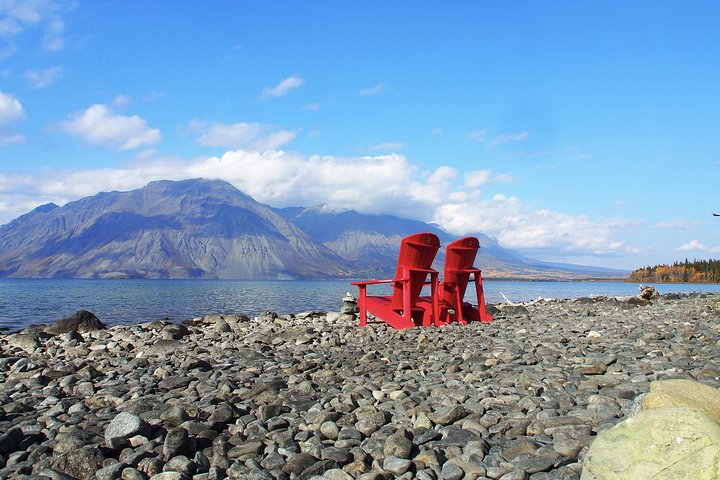 Arctic Day: Kluane National Park Tour | full day