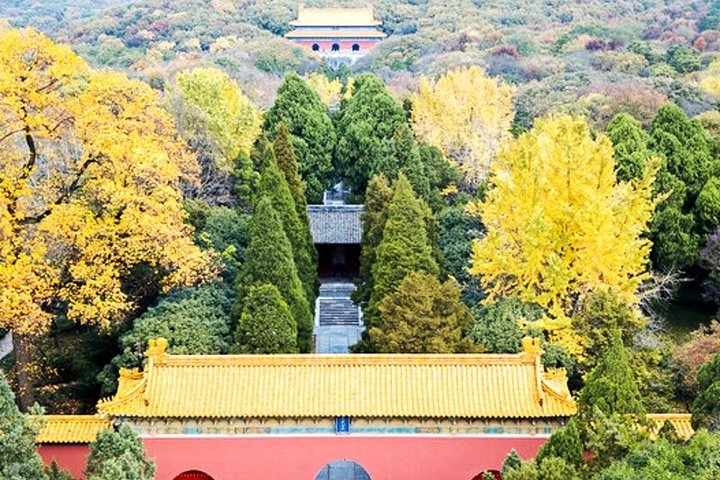 6-Hour Private Tour of Xiaoling Tomb,City Wall & Memorial Hall