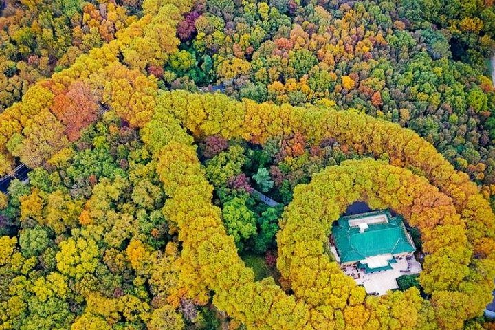 Nanjing Private Flexible Day Tour with Professional Guide and Driver Service