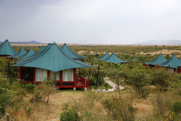 4 Days, 3 Nights Safari – Lake Nakuru and Maasai Mara Safari