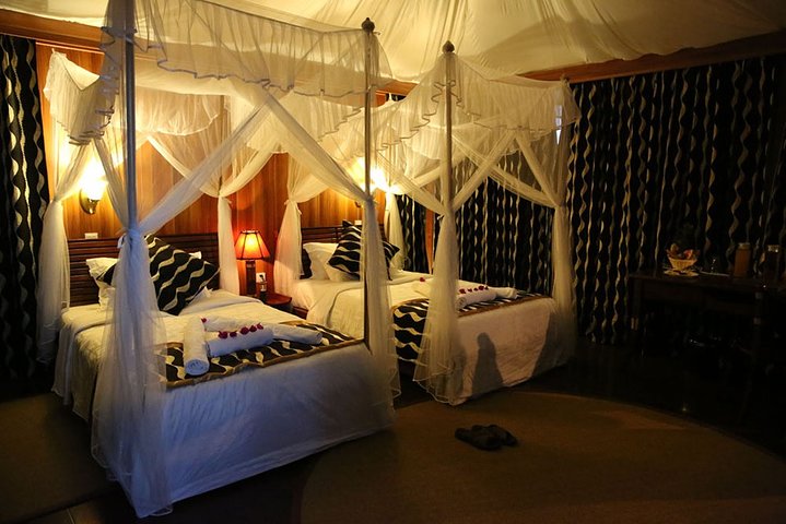 4 Days, 3 Nights Safari – Lake Nakuru and Maasai Mara Safari