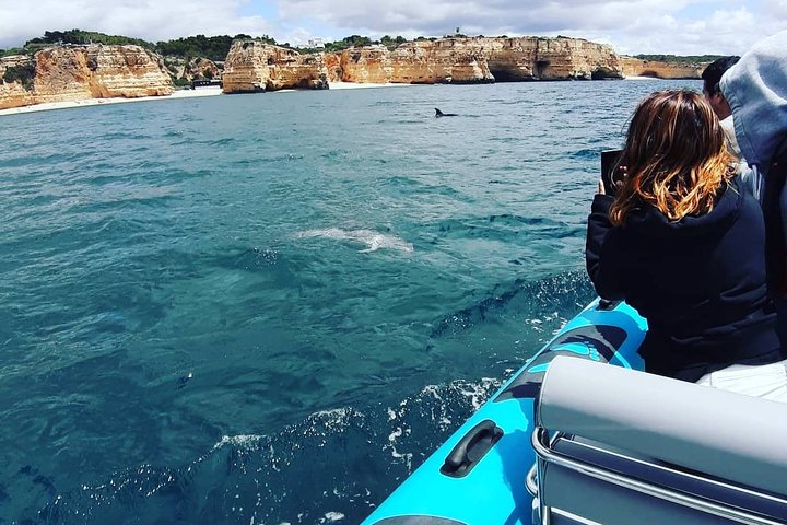 Benagil Caves Tour from Portimao - Small Groups