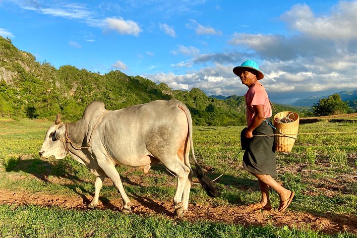" Off the beaten track ” ( Kalaw to Pindaya )