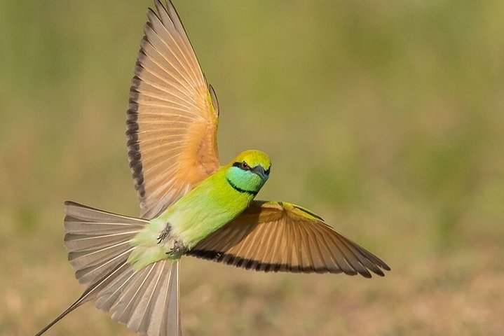 Birdwatching and Trekking at Horton Plains National Park