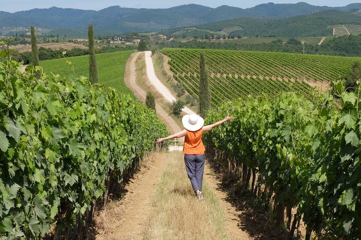 Chianti Half-Day Wine Tour in the Tuscan Hills Small Group from Lucca