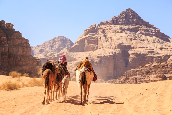 From Aqaba: Private Full-Day Wadi Rum and Petra Tour