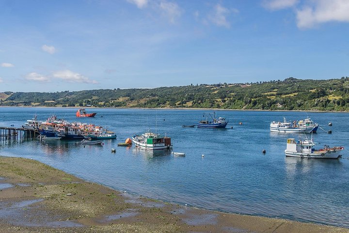 Coastal Villages Tour of Chiloé from Castro