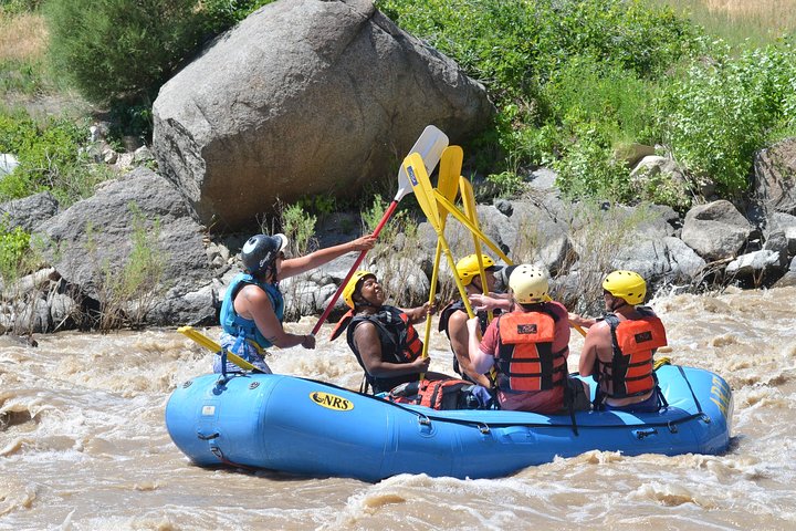 Bighorn Sheep Canyon Whitewater Rafting – Families & Beginners