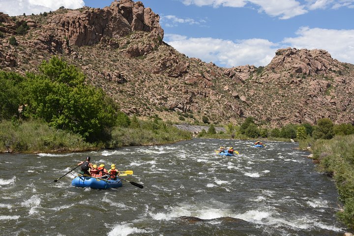 Bighorn Sheep Canyon Whitewater Rafting – Families & Beginners