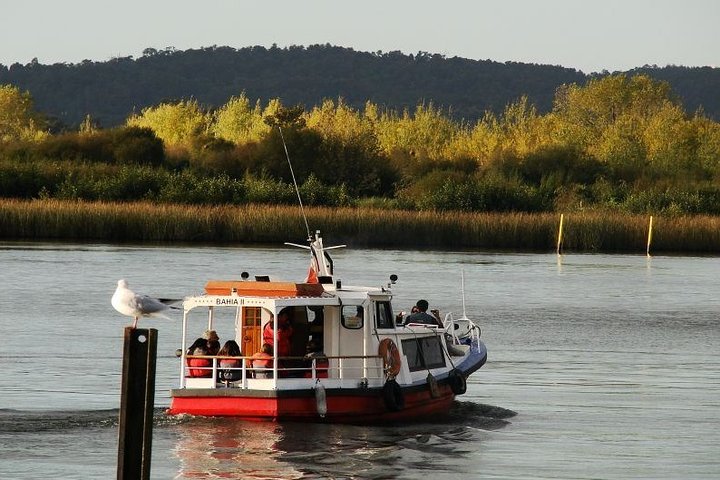 Navigation Through The Isla Teja in Valdivia