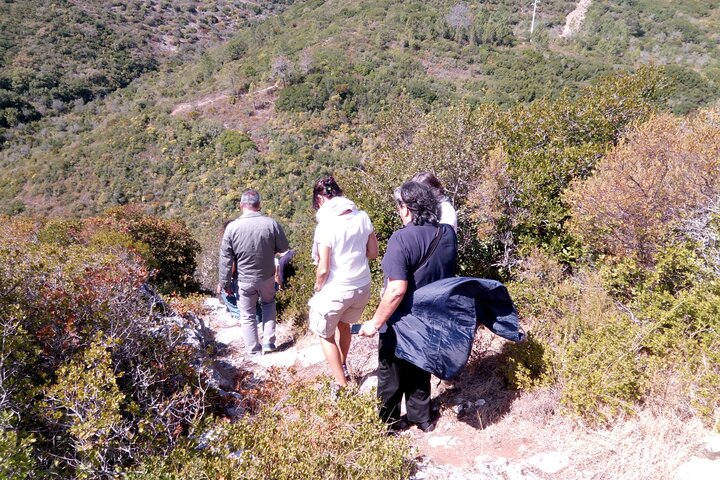 1 Day | Private SUV Expedition | Nature Park | Local Guide