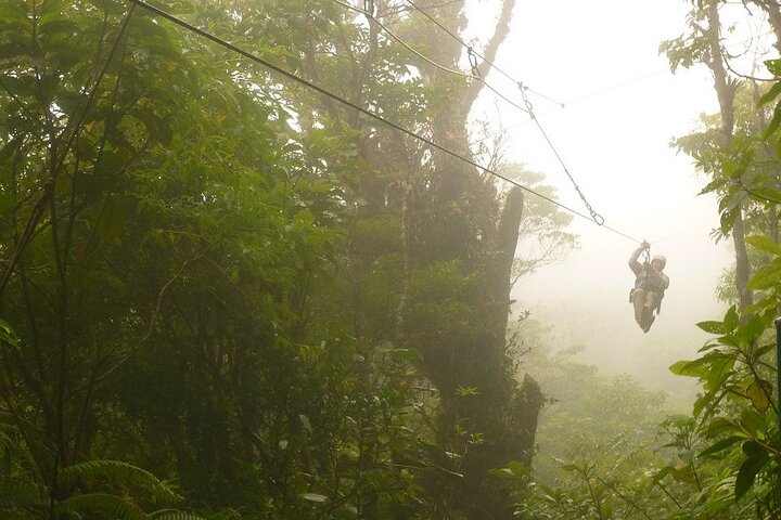 Zipline and Hanging Bridges Combo Tour in Monteverde Cloud Forest