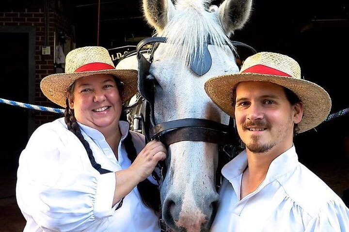 Charleston’s Old South Carriage Historic Horse & Carriage Tour