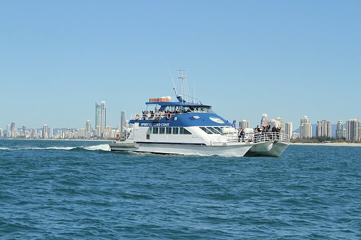 Whale Watching Tour with Spirit of Gold Coast
