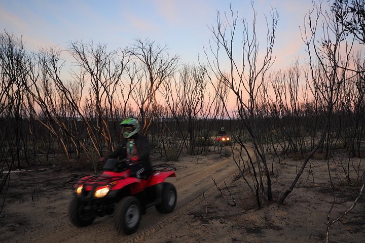 Kangaroo Island Quad Bike (ATV) Tours