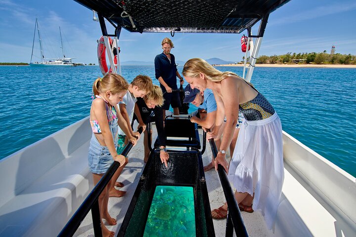 Wavedancer Low Isles Great Barrier Reef Sailing Cruise