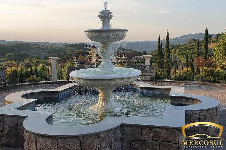 Vale dos Vinhedos: Private Group Tour from Porto Alegre