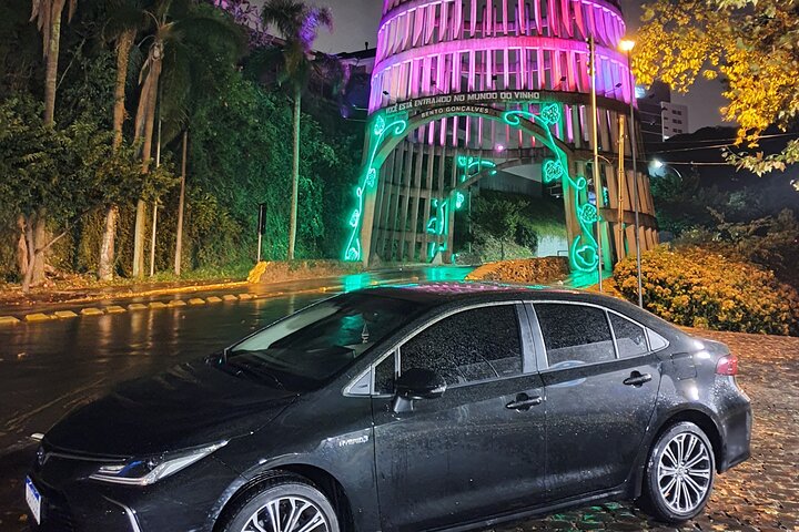 Vale dos Vinhedos: Private Group Tour from Porto Alegre