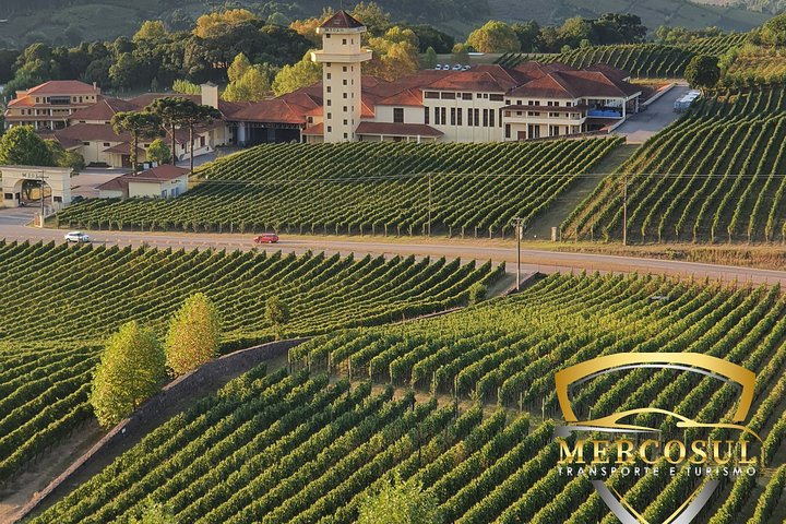 Vale dos Vinhedos: Private Group Tour from Porto Alegre