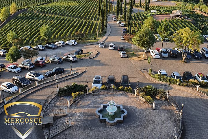 Vale dos Vinhedos: Private Group Tour from Porto Alegre
