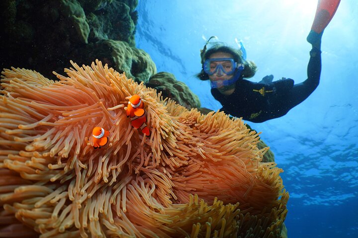 Silversonic Outer Great Barrier Reef Cruise from Port Douglas