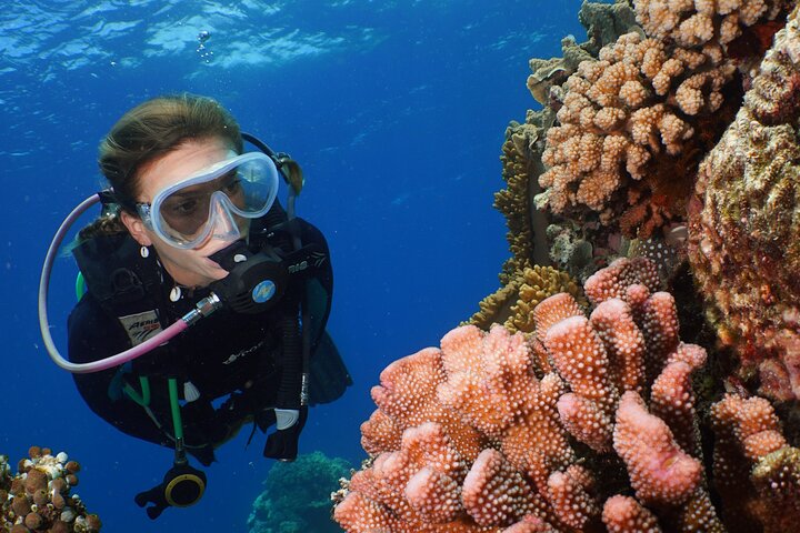 Silversonic Outer Great Barrier Reef Cruise from Port Douglas